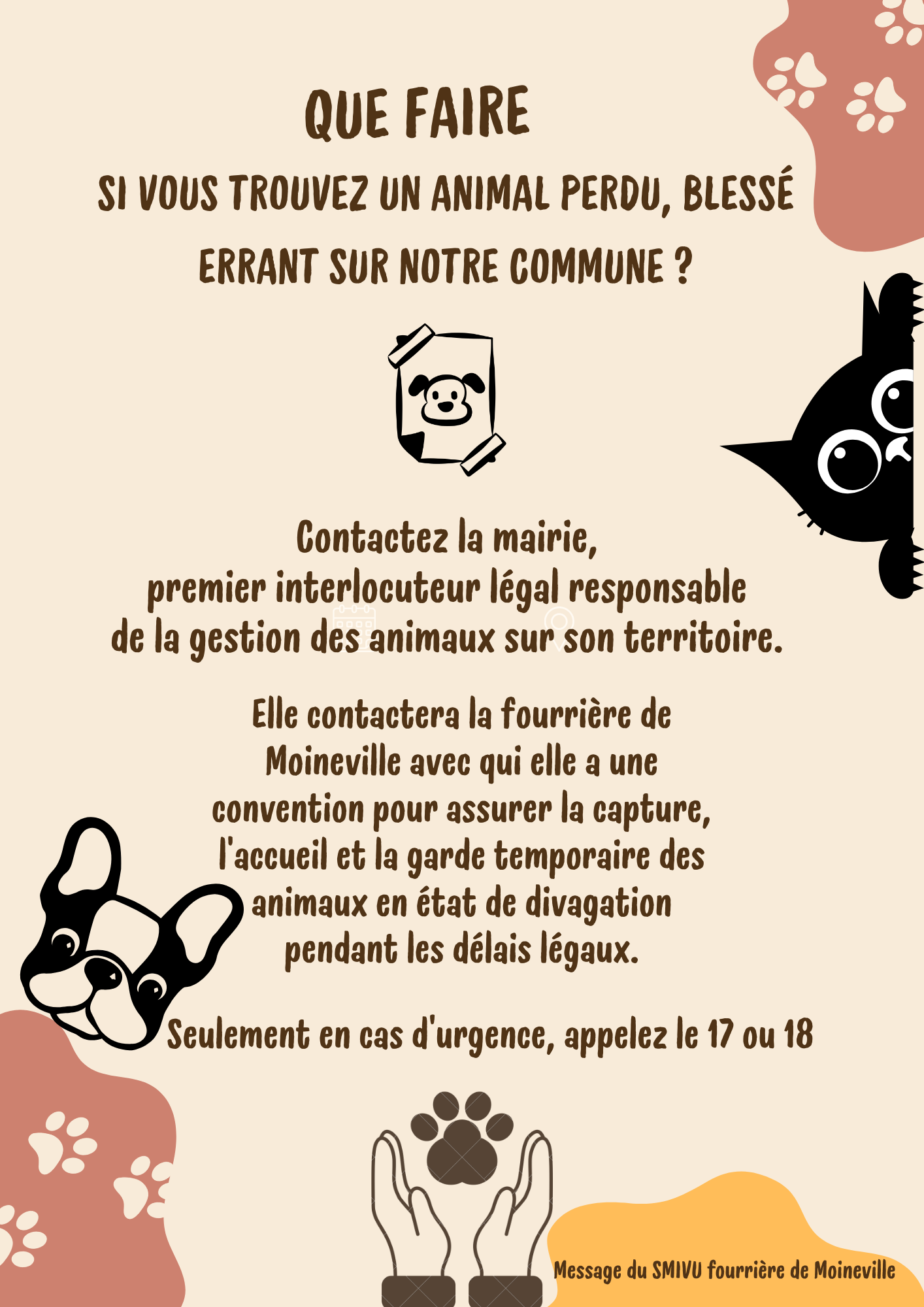 Que faire si vous trouvez un animal perdu ...